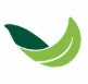 Plant Ark